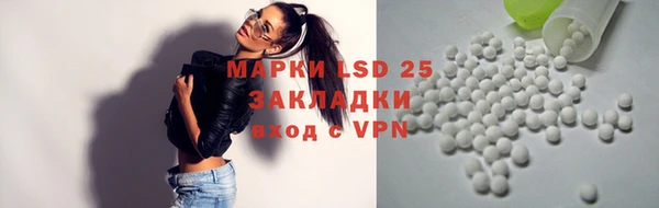 ГАЛЛЮЦИНОГЕННЫЕ ГРИБЫ Покров
