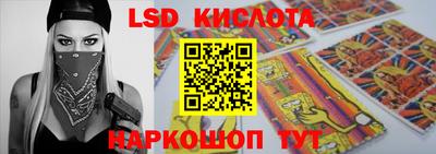 шишки Шелехов