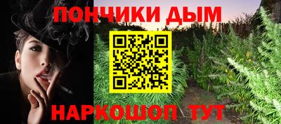 шишки Шелехов