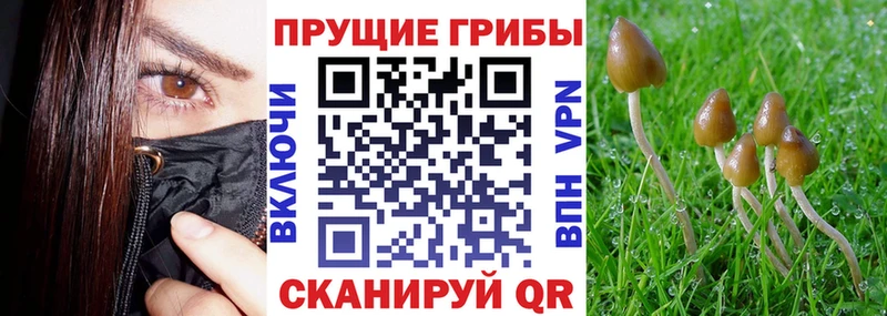 Псилоцибиновые грибы прущие грибы  OMG маркетплейс  Старая Русса  что такое наркотик 