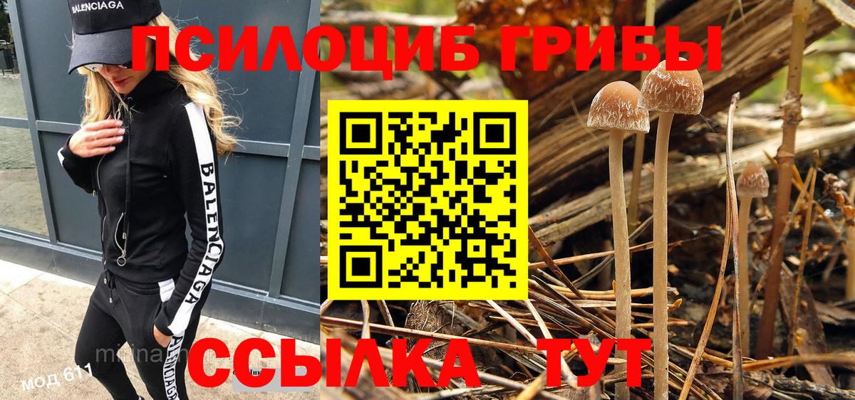 Старая Русса  Галлюциногенные грибы Psilocybine cubensis  Вход с VPN 