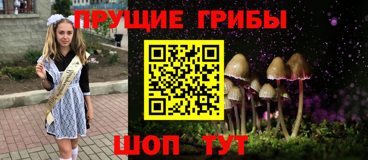 Галлюциногенные грибы Magic Shrooms Старая Русса