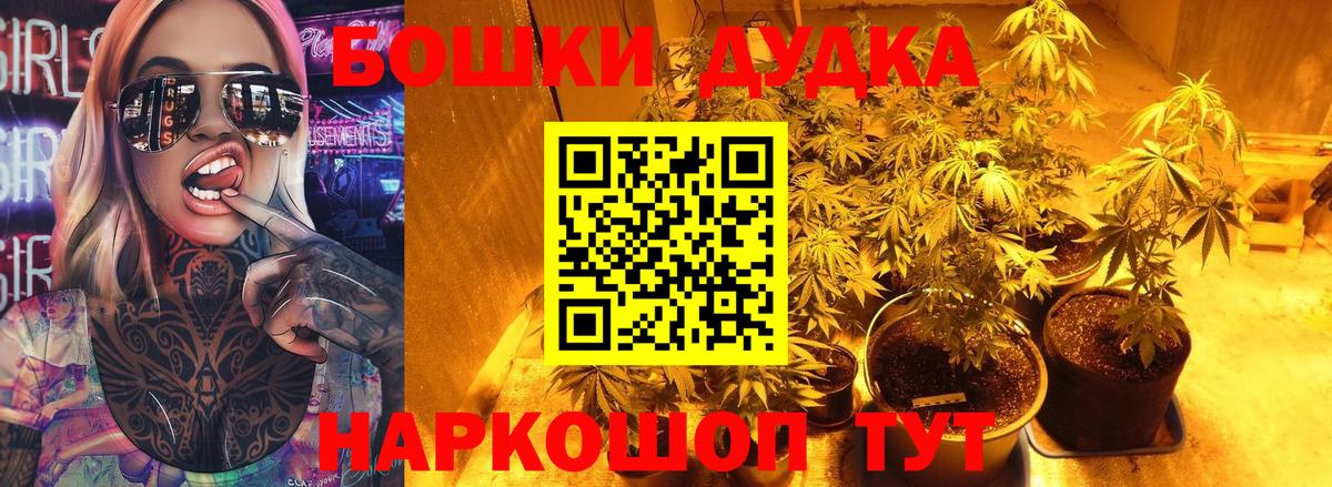 Шишки марихуана планчик  Вход с VPN  Бошки марихуана гибрид  Старая Русса  МАРИХУАНА Bruce Banner  МАРИХУАНА SATIVA & INDICA 